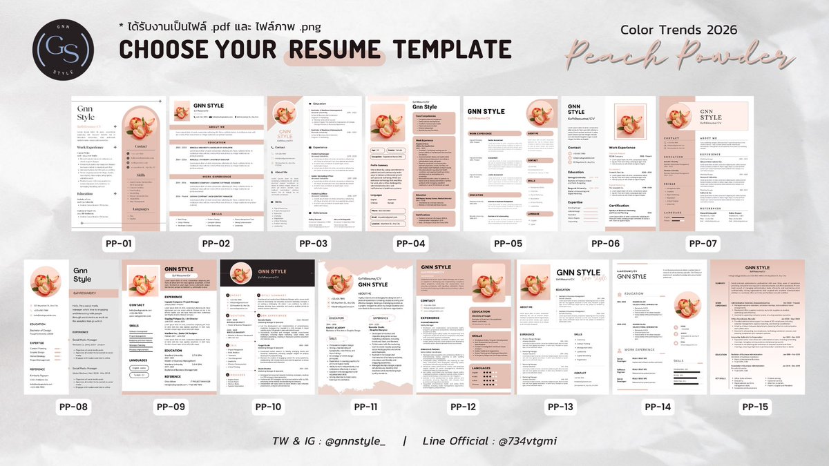 GNN รับทำ Resume/CV/Portfolio/แปลภาษา และอื่นๆ tweet media