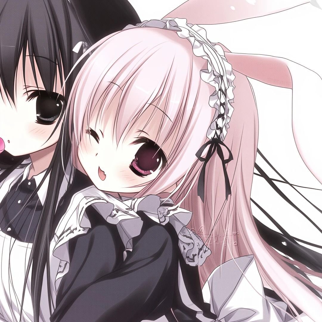 Hannasoftporn tweet media