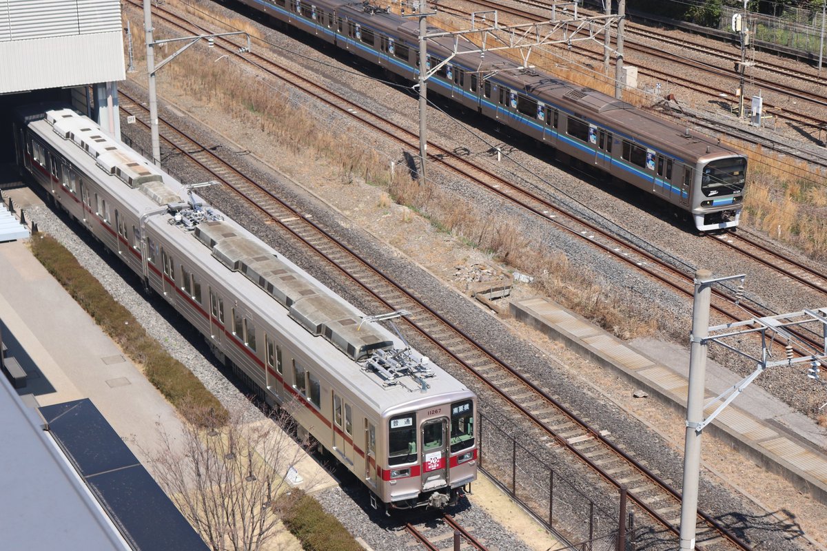 りょーもー tweet media