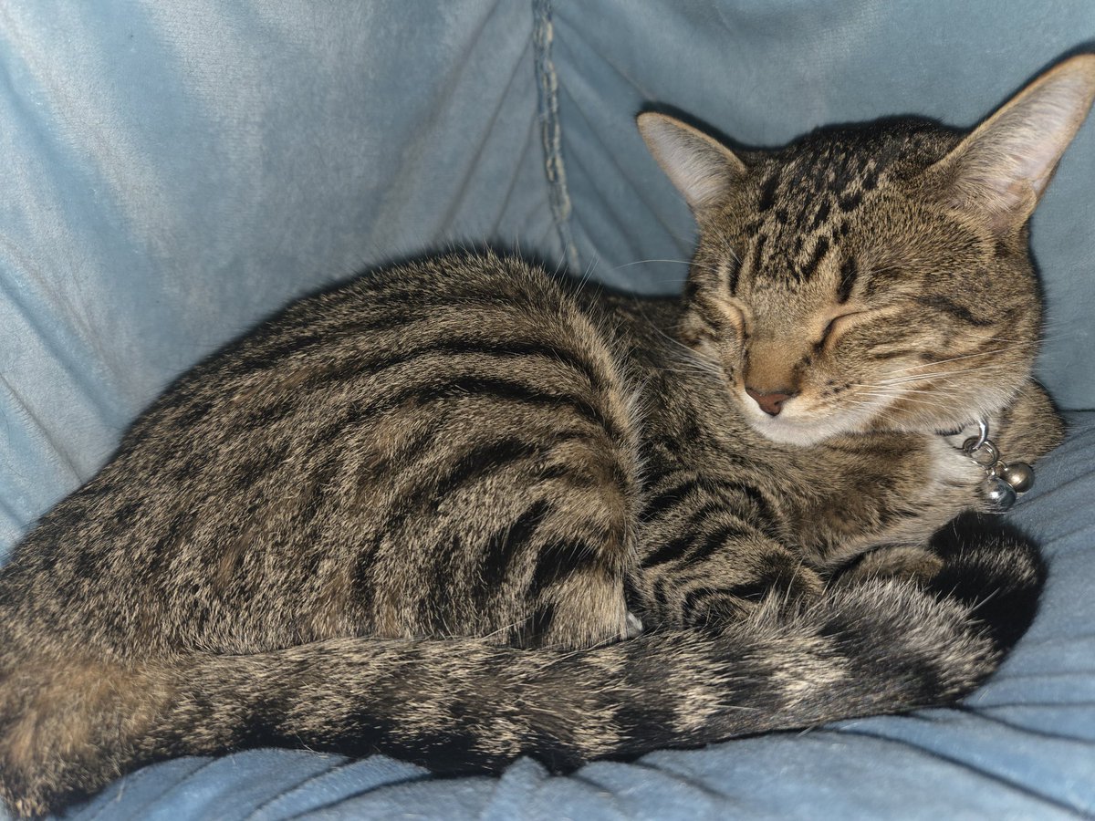 Leveling Up tweet media