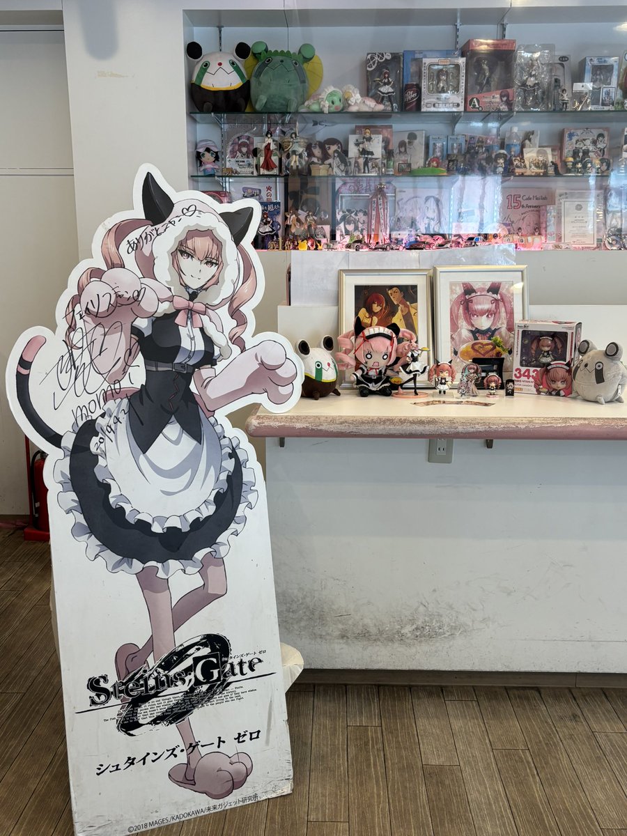 メイリッシュ tweet media