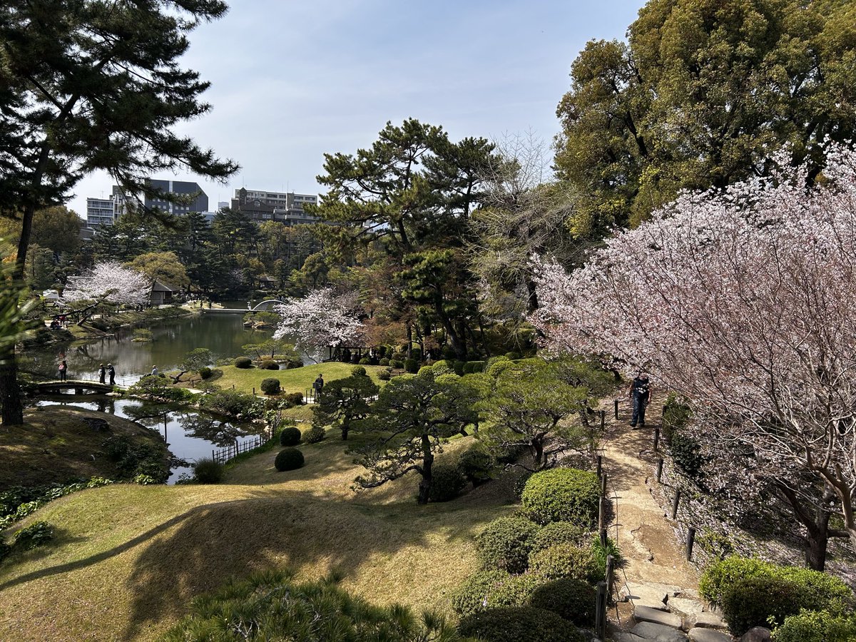 🎩夢咲たま❄️【ゆきたまch】 tweet media