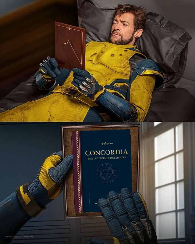 🦬 𝕸𝖆𝖙𝖙𝖍𝖊𝖜 𝖙𝖍𝖊 𝕷𝖊𝖘𝖘𝖊𝖗 🦬 tweet media