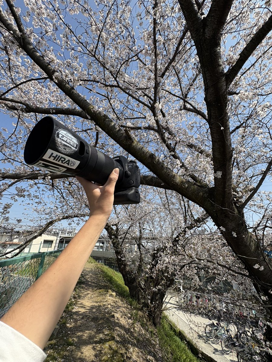 ひら　ホロプレEXPO tweet media