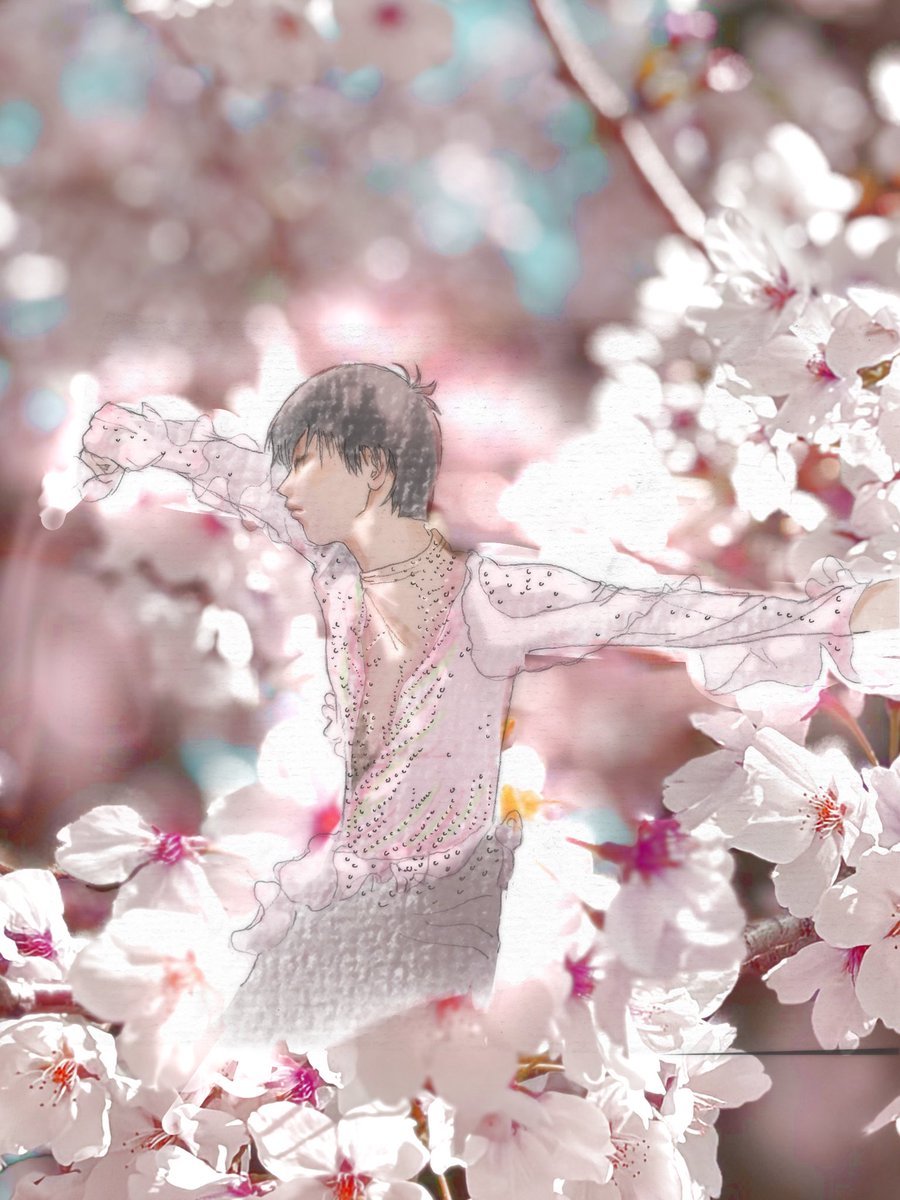 お花見に来ています🌸 満開の桜を見るとやっぱり思い出すのは春ちゃん