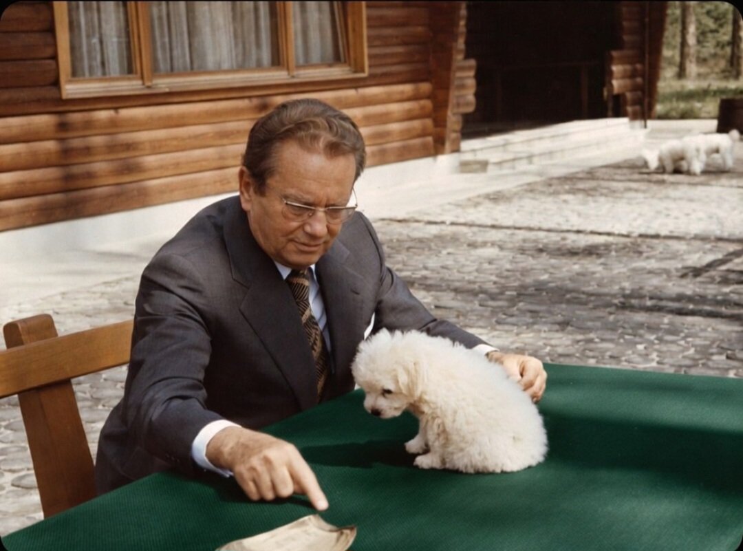 Josip Broz Tito 🇵🇸 tweet media