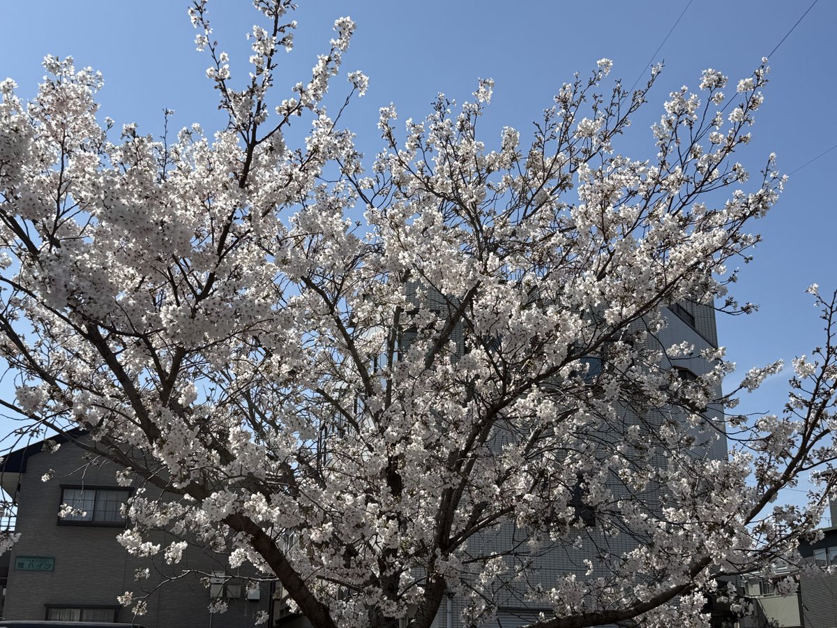 😸🐱😼♨なむるる♨🙀😽😹🌾 tweet media