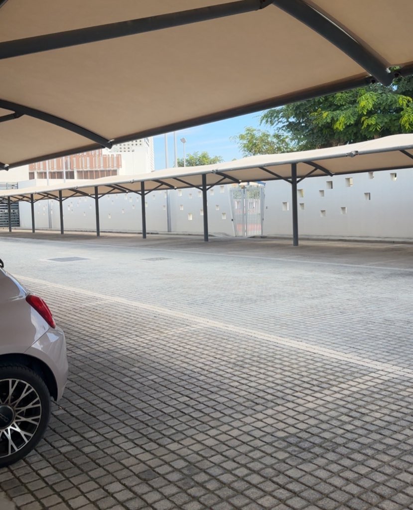 Ophelia. tweet media