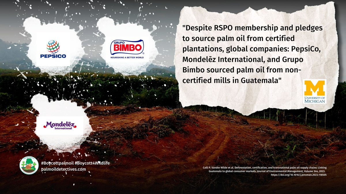 PalmOilDetect's tweet image. Thanks Ali. Ignore #greenwashing from #RSPO shill Orangutan Land Trust. Zero #supplychain members of RSPO have stopped #palmoil #deforestation in 30 years. "Sustainable" palm oil = #greenwashing.  #Boycottpalmoil #Boycott4Wildlife palmoildetectives.com/2023/07/26/pal…