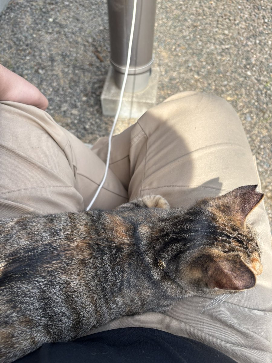 ネ厶🦉🌃🍮🌇🍰🎉⛩🔅 tweet media