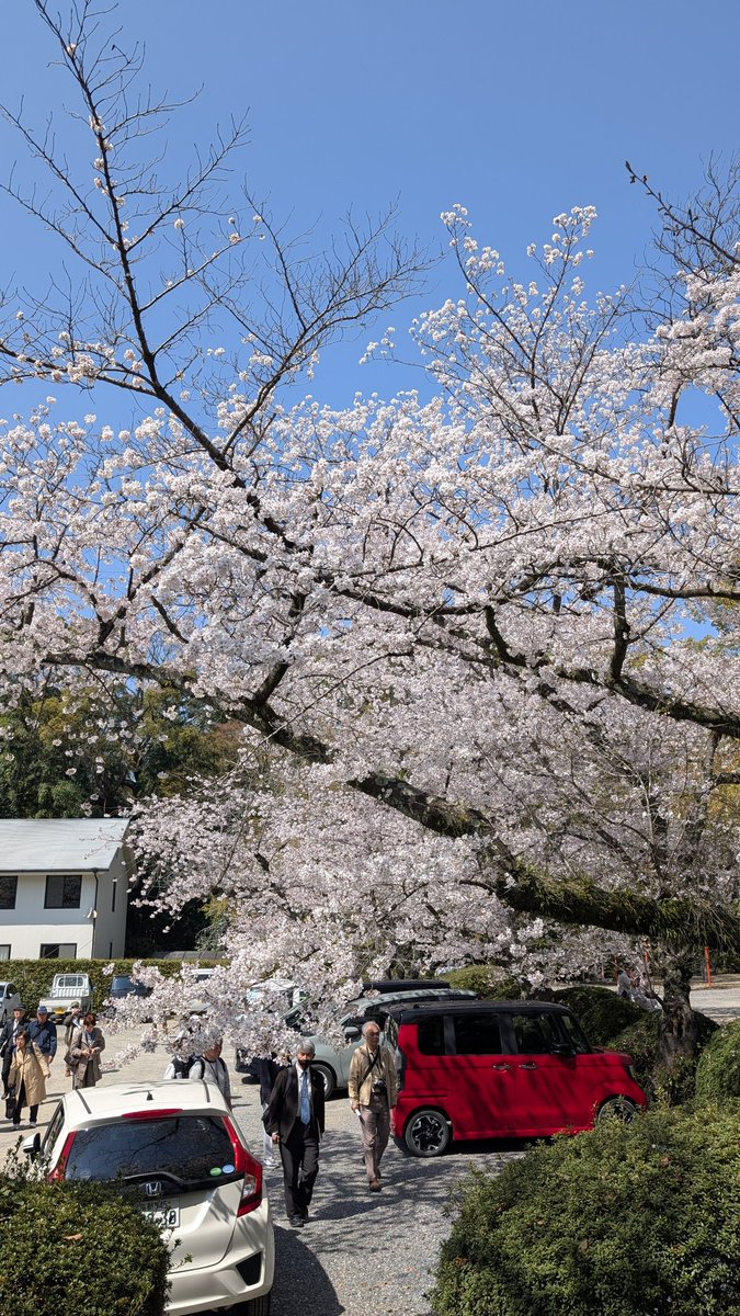 りょー🐧🐹🍑🦌 tweet media