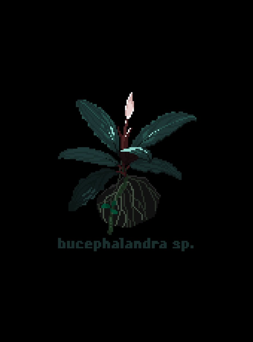 干し草小町 tweet media