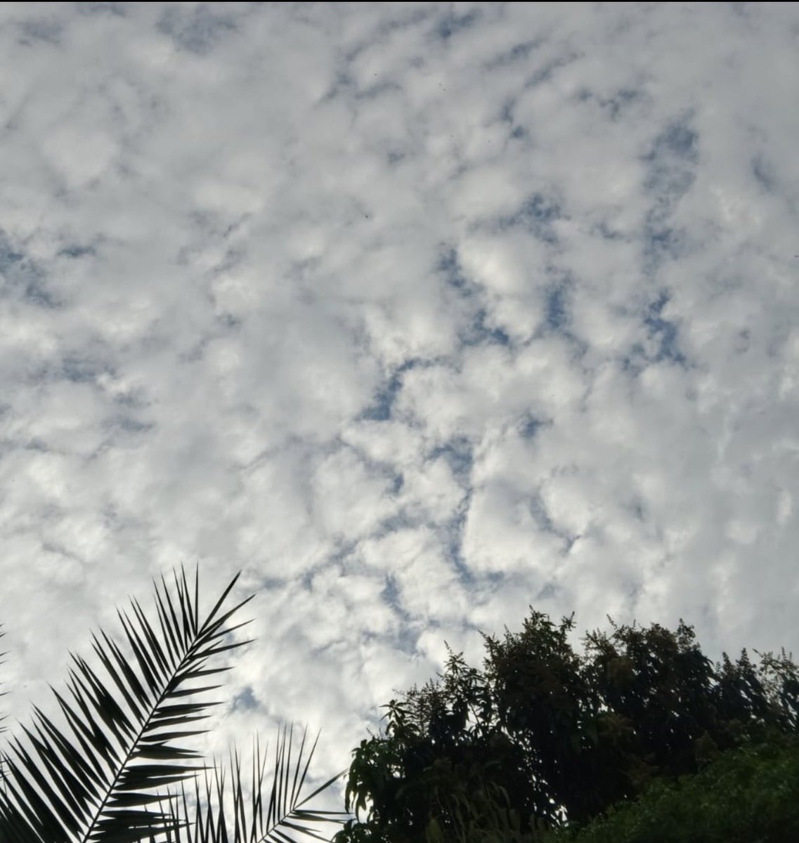 Jatti speaks 😻 tweet media