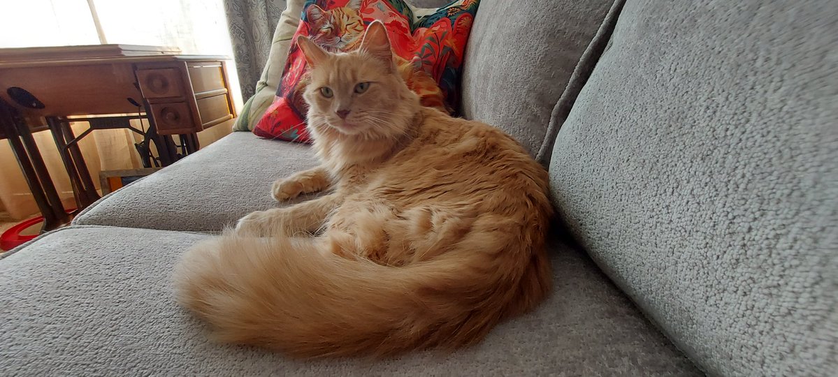 Terry @MahsMining🍁 tweet media