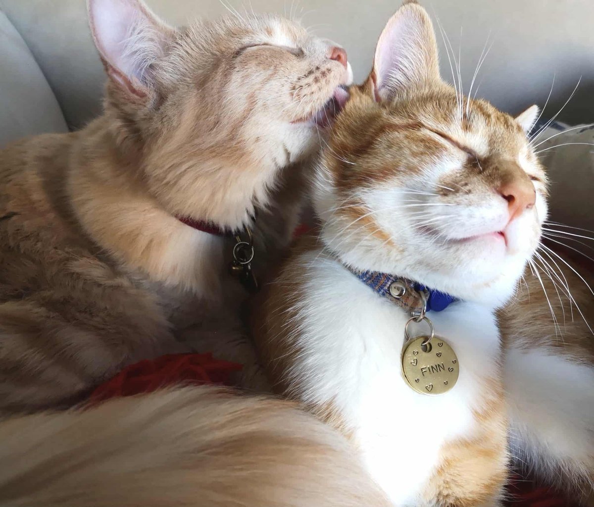 Terry @MahsMining🍁 tweet media