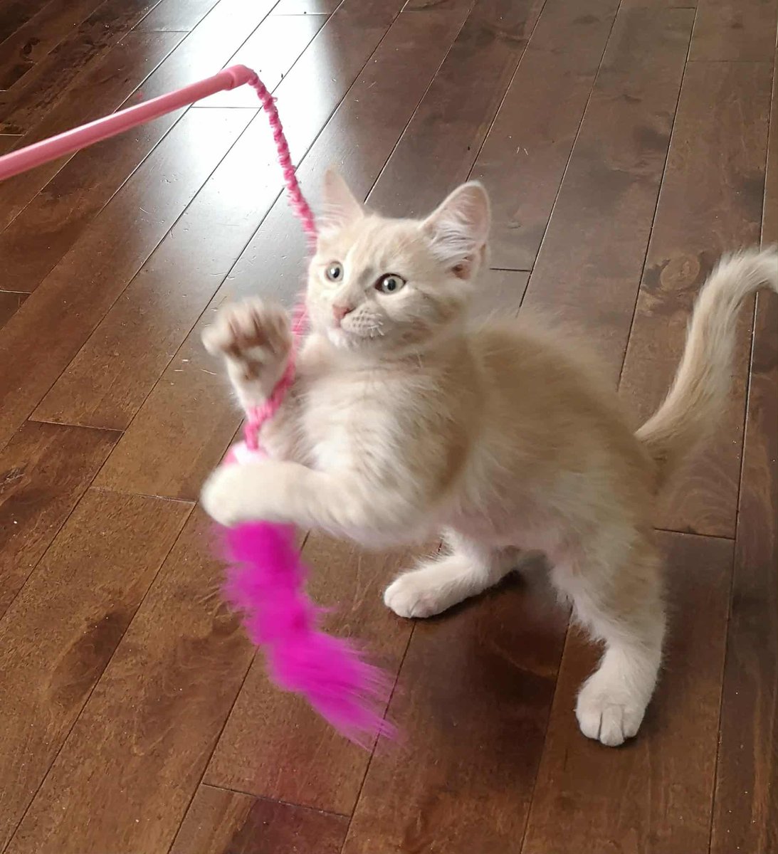 Terry @MahsMining🍁 tweet media