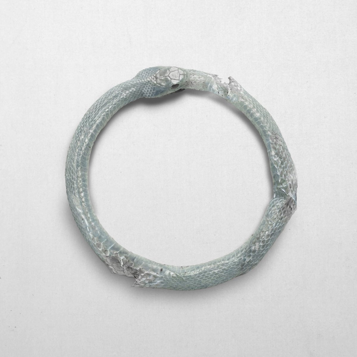 Sofía Reyes tweet media