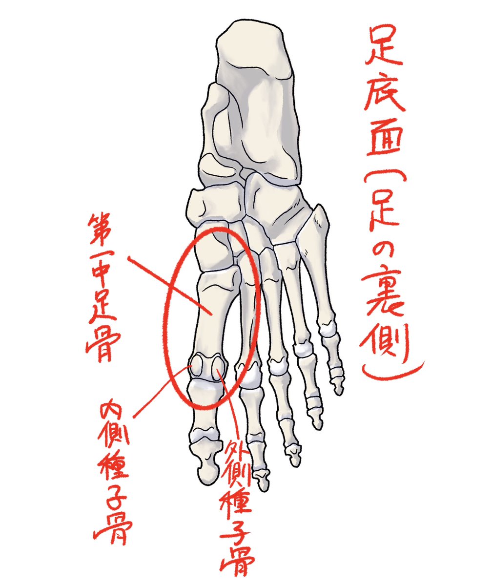 田丸浩史 tweet media