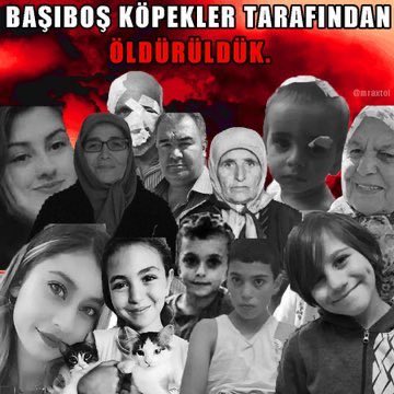 Orhan Toker (Dijital Baba) tweet media