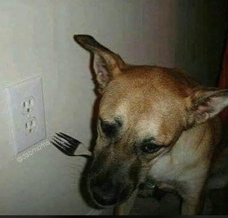 𐙚hanna #01 piwon thinker tweet media