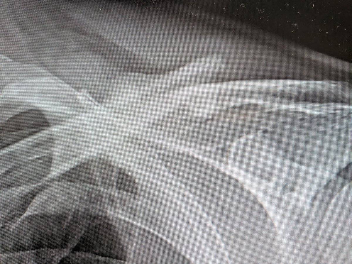 にゃーにゃ tweet media