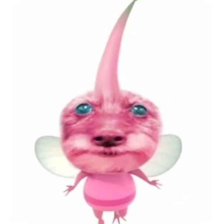 s1ckl0v3r tweet media