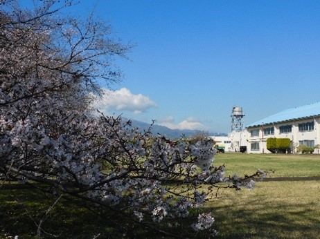 独立行政法人国立印刷局 tweet media