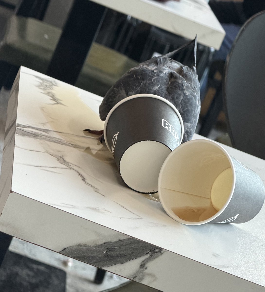 LaughingYield tweet media