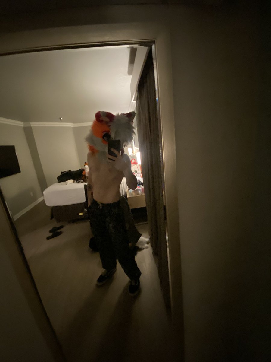 Fluffy Husky tweet media