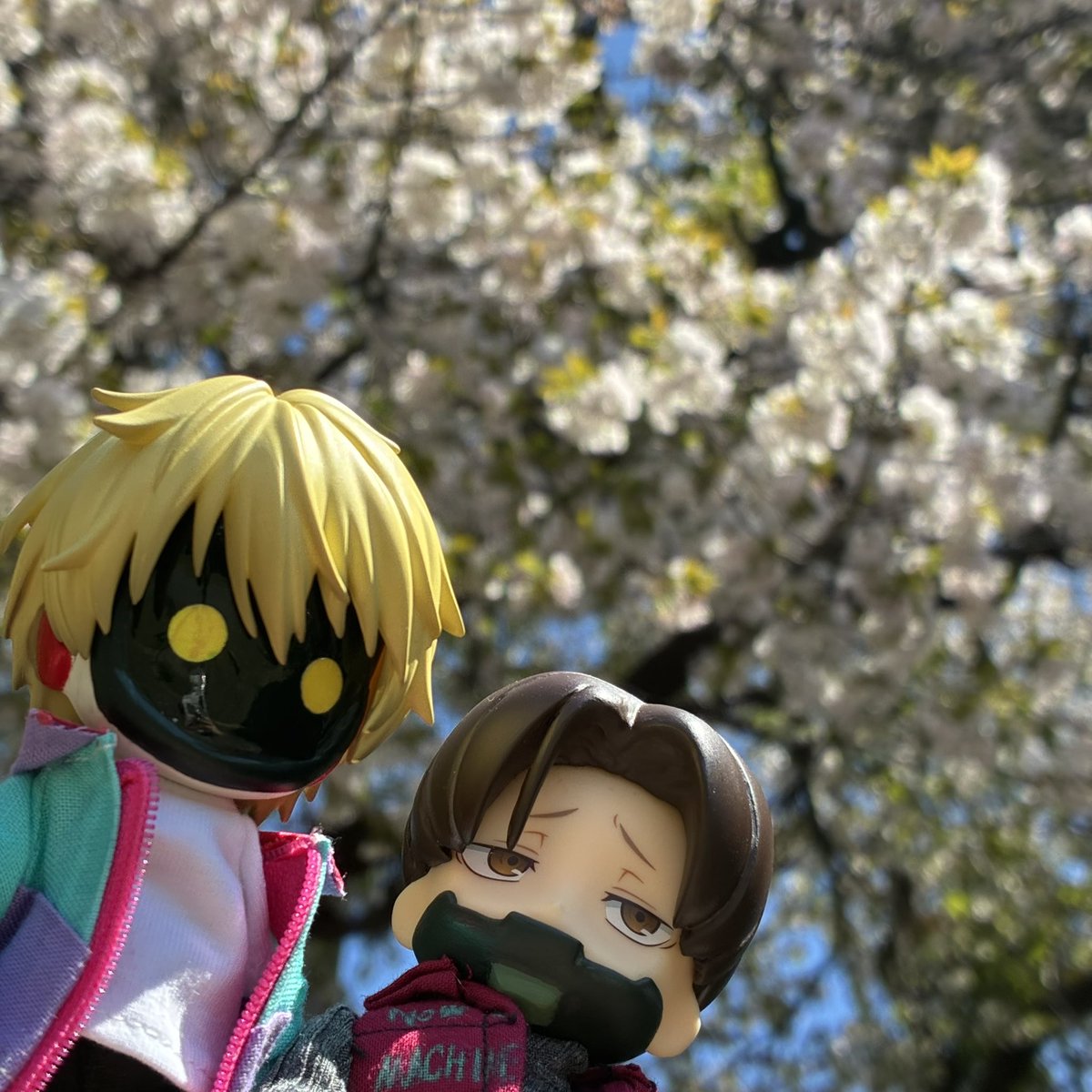 ねお@mlsb垢 tweet media