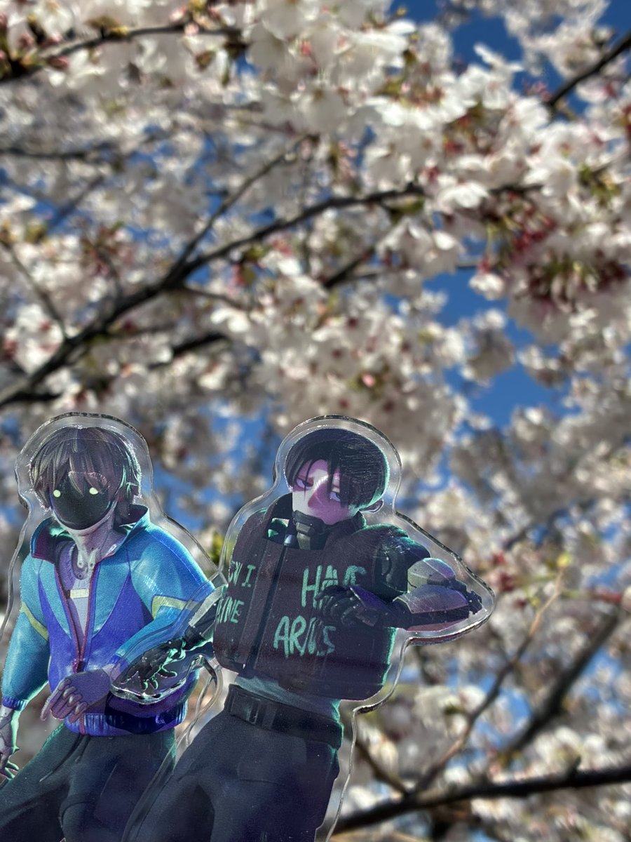 ねお@mlsb垢 tweet media