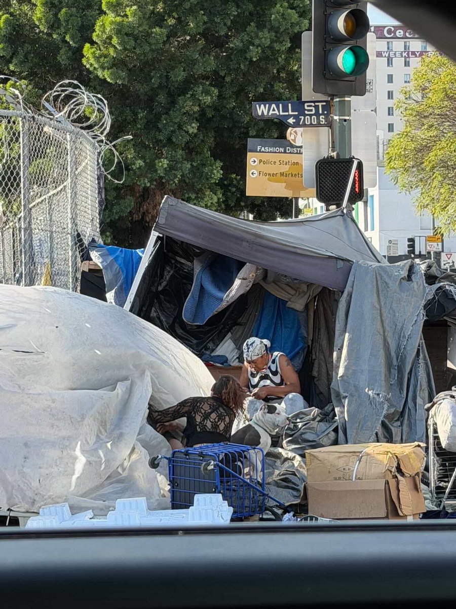 Spencer Pratt tweet media