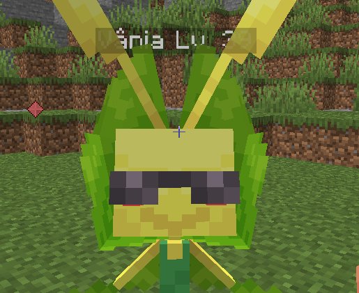 Gorge 🤠 tweet media