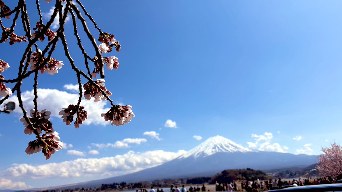 でざキャン△【Design×Camp】🗻富士山が見えるグランピング tweet media