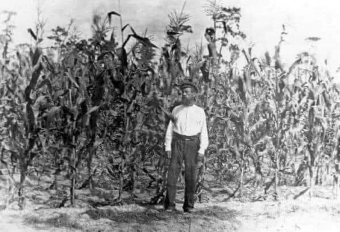 Path of Men tweet media