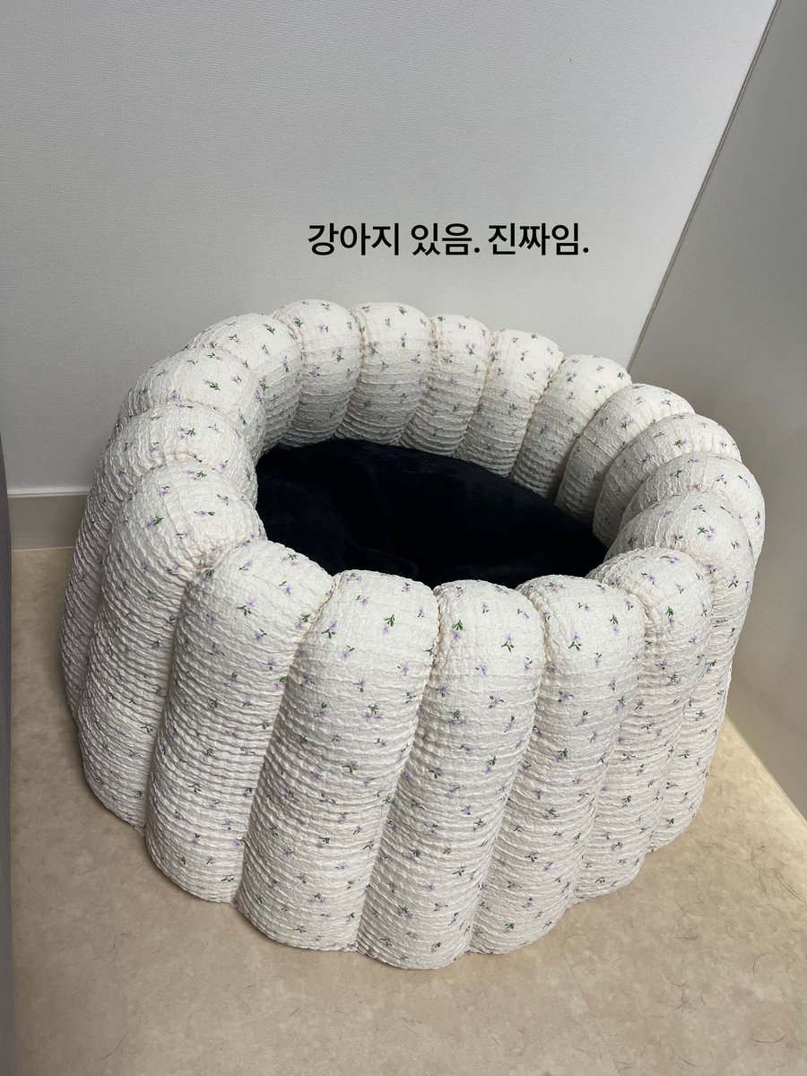 비상플리마켓⛺️ tweet media