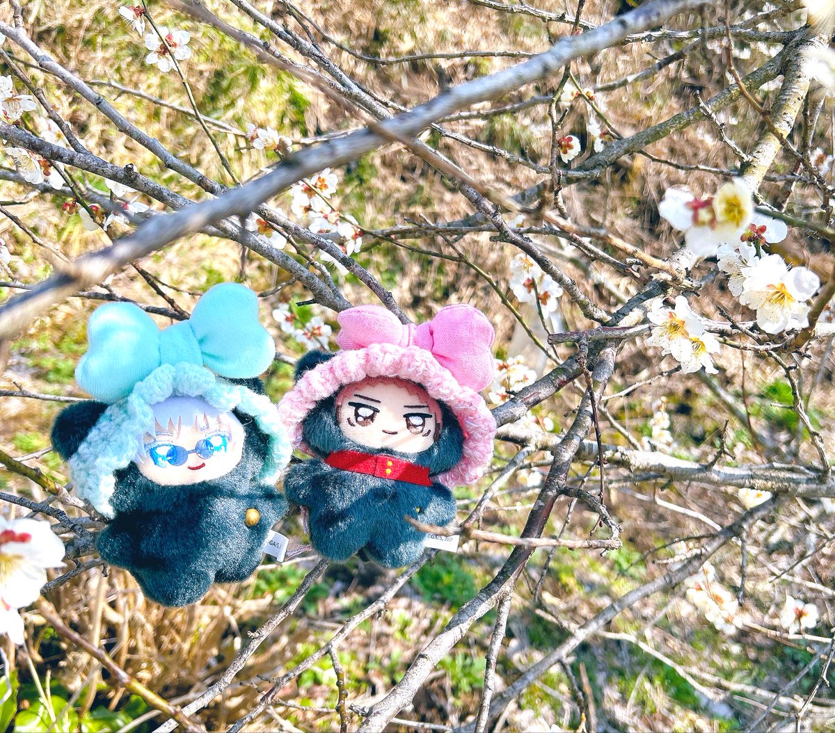 ちみごとちみゆもお花見🌸
素敵なお帽子は、先日の仙コミでぬのちさん（<a href="/nuno_chi/">ぬのちnext5/6</a> ）からお迎えした作品です🌸
とっても可愛いくて、ふたぬも満足顔で撮影してくれました💕
素敵なご縁をありがとうございました♪