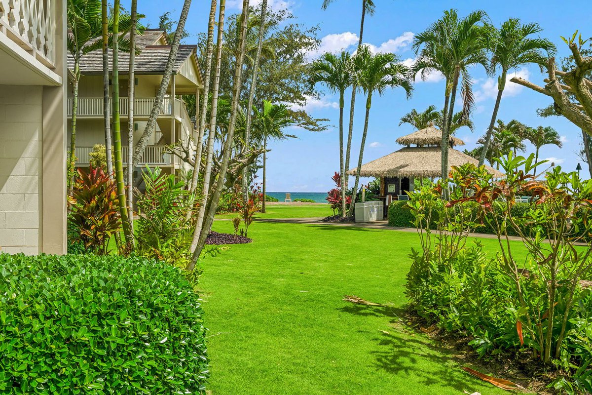 Hawaiʻi Life tweet media