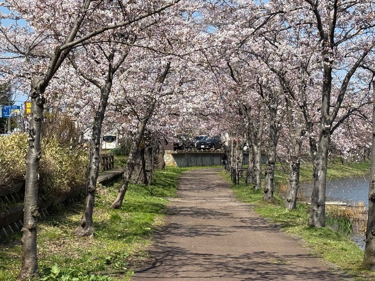 上越妙高タウン情報 tweet media