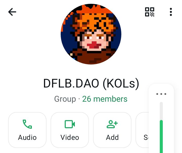 DFLB_DAO tweet media