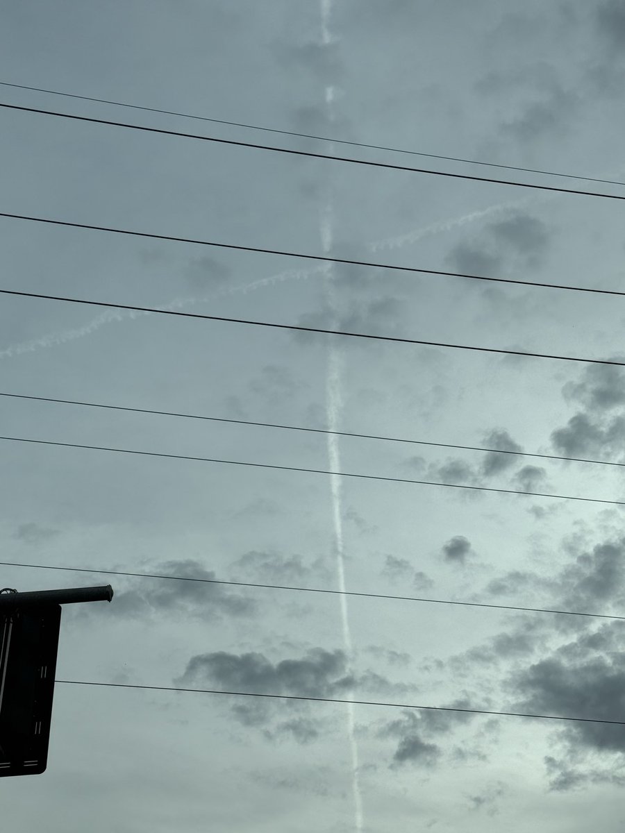 Amber Potis tweet media