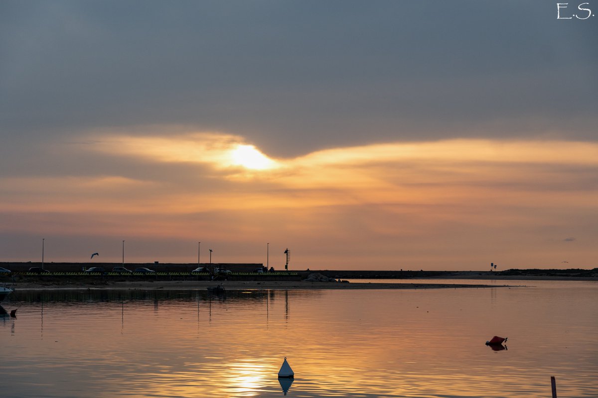 ♫♪ Emanuele ♫♪ tweet media