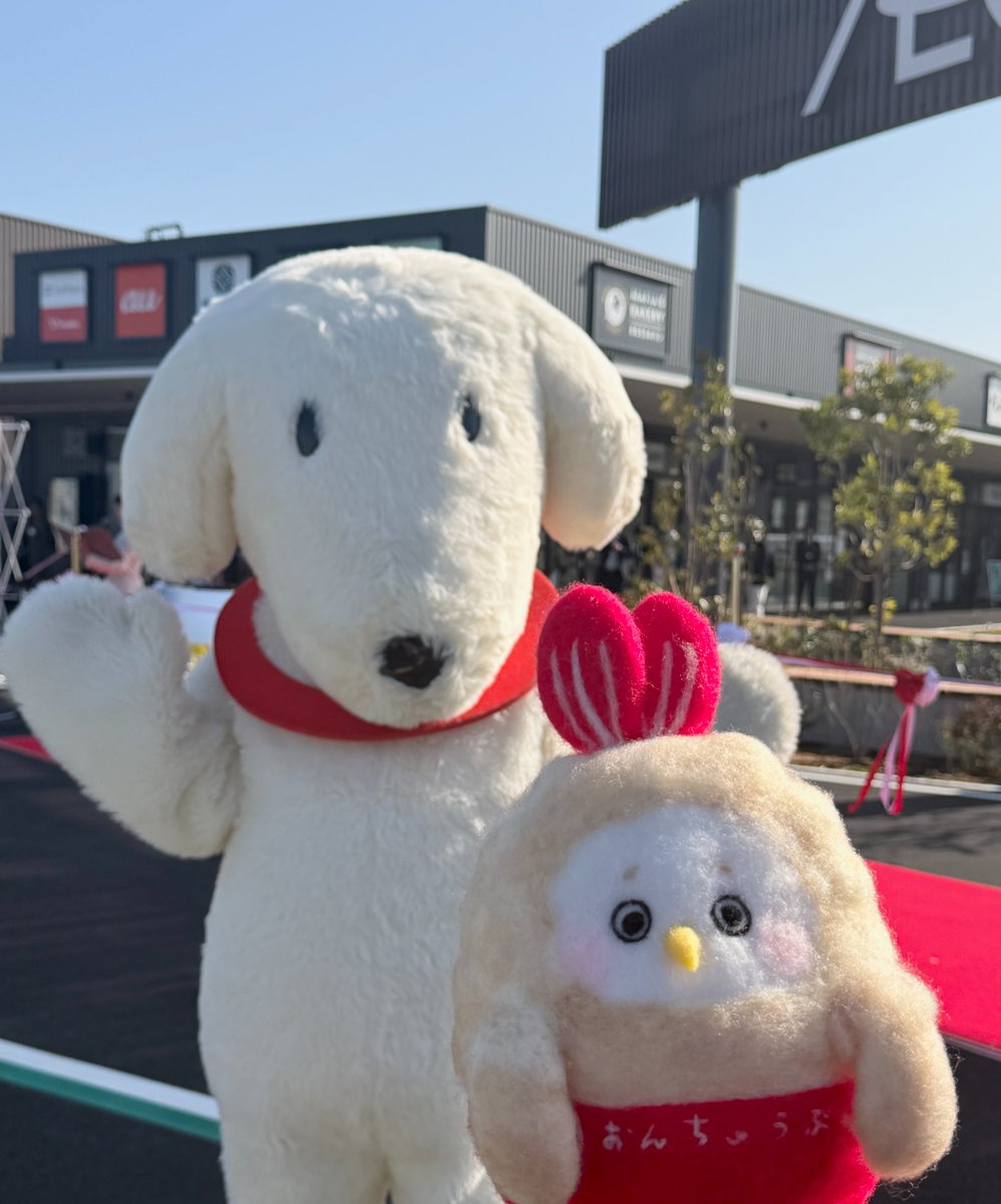 【公式】イオン中部 このてん情報局 tweet media