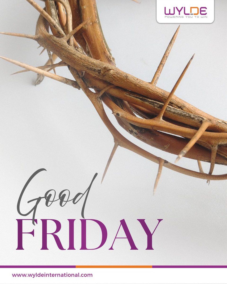 WYLDE International tweet media