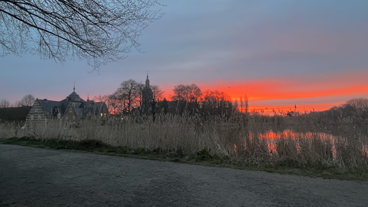 Johan Morren tweet media