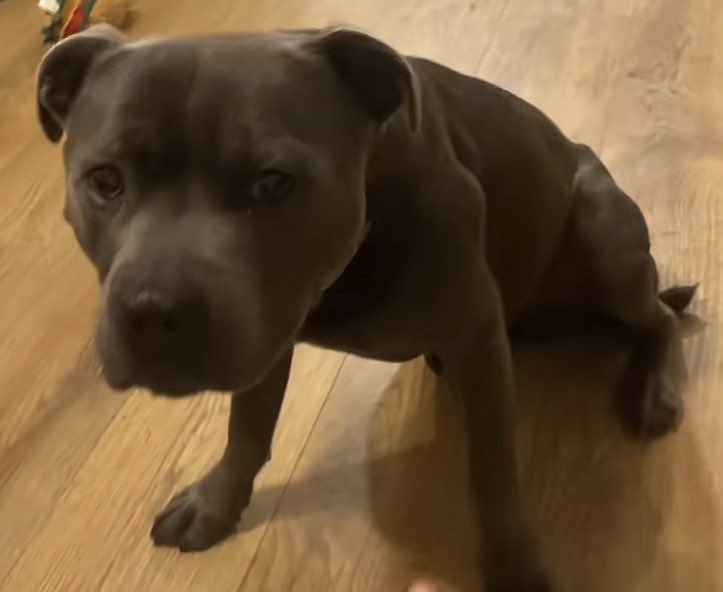 🎨Caydenball✏️ tweet media