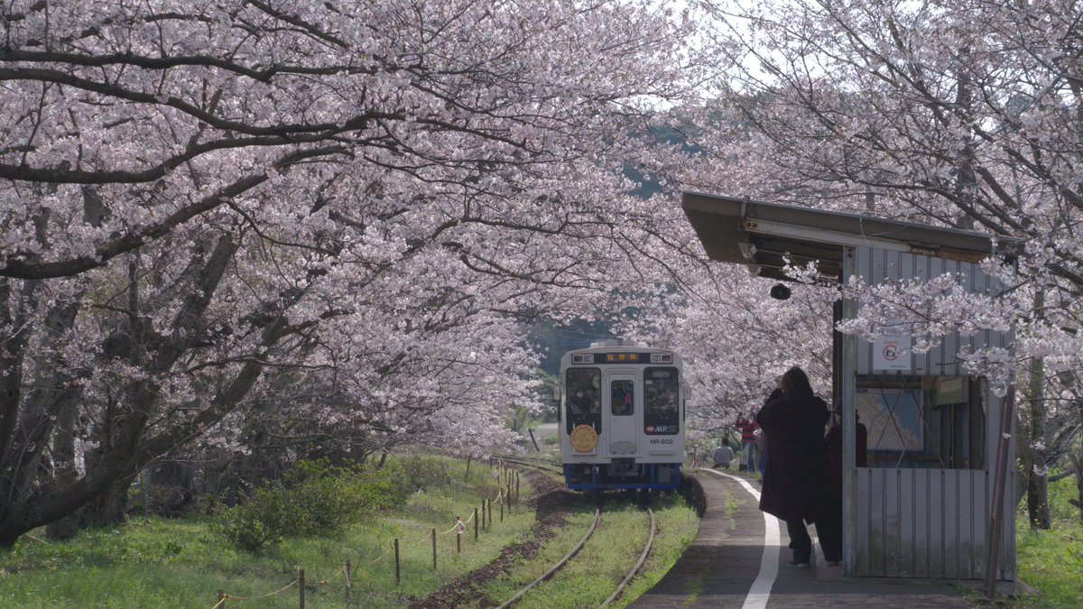 みるプラス【公式】 tweet media