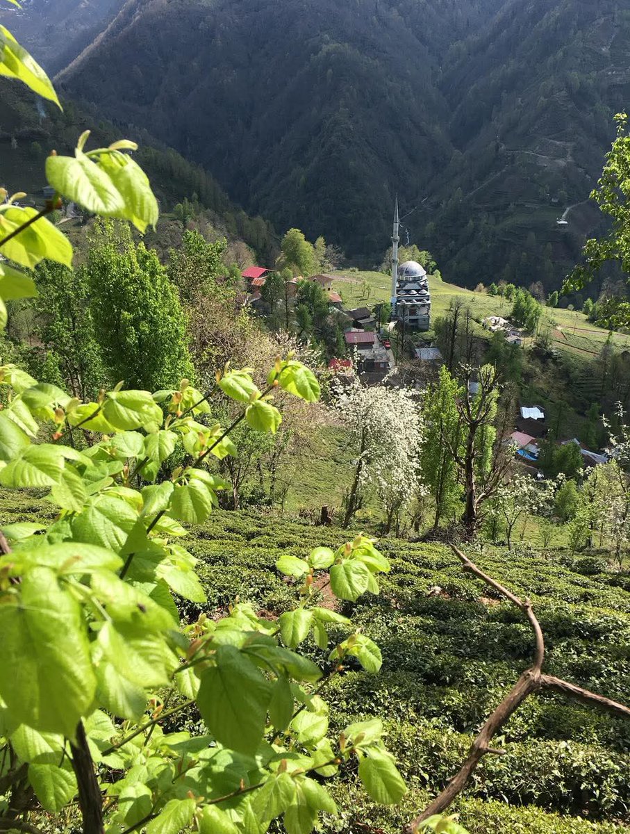 💚Kedika💙Düş peşindey'sen/Duşpeşume❤M🇹🇷K🇹🇷A🤍 tweet media