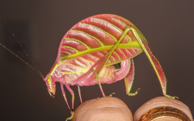 hawa ï๑ tweet media