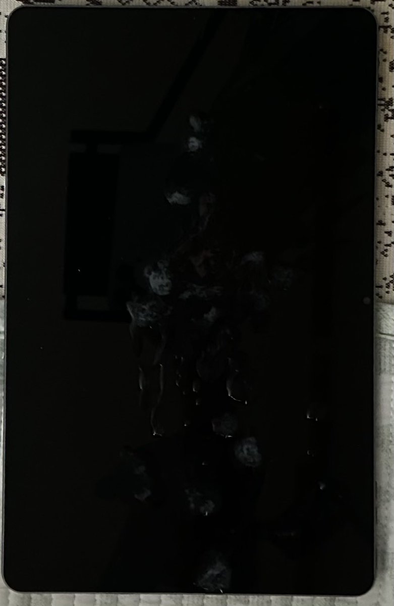 젤크남 tweet media